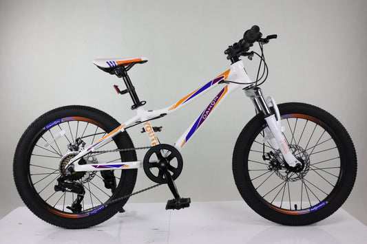 DAHON MAA071 前避震碟剎山地車-20" / DAHON MAA071 MOUNTAIN BIKE-20"