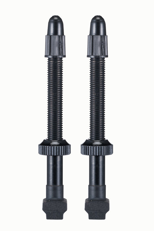 GIANT 真空氣嘴 (1 對) / GIANT TUBELESS VALVE STEM (1 PAIR)