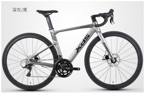 XDS AD300 線拉油碟內走線18速公路車 / XDS AD300 18 SPEED ROAD BIKE