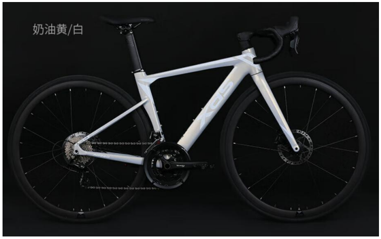 XDS AD350 油壓碟刹內走線20速公路車 / XDS AD350 20 SPEED ROAD BIKE