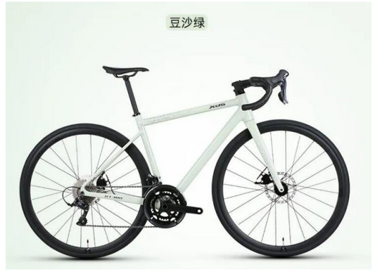 XDS RT380 線拉油碟內走線18速公路車 / XDS RT380 18-SPEED ROAD BIKE